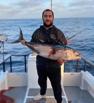 Tuna Fishing in California 